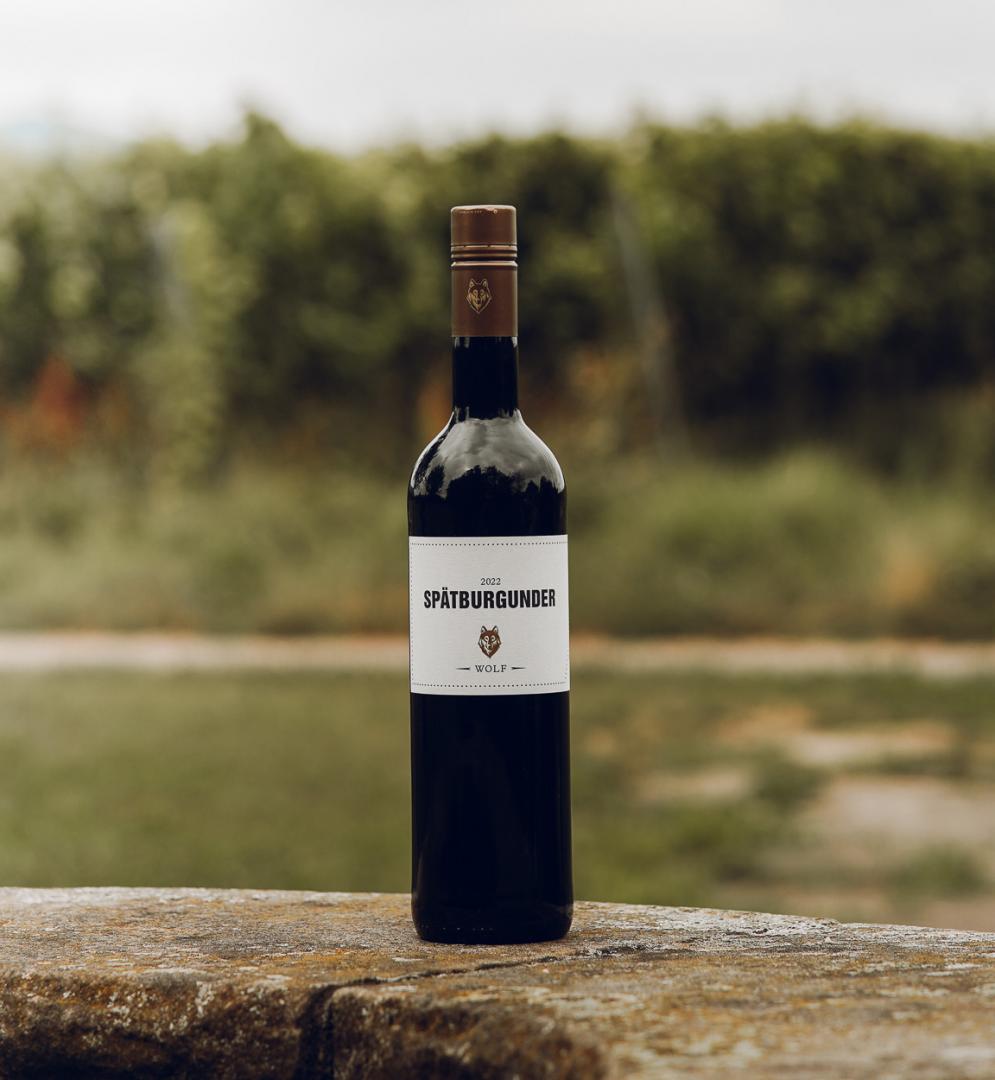 Großansicht 2022 SPÄTBURGUNDER, trocken, QbA, 0,75l, Roschbacher Rosenkränzel