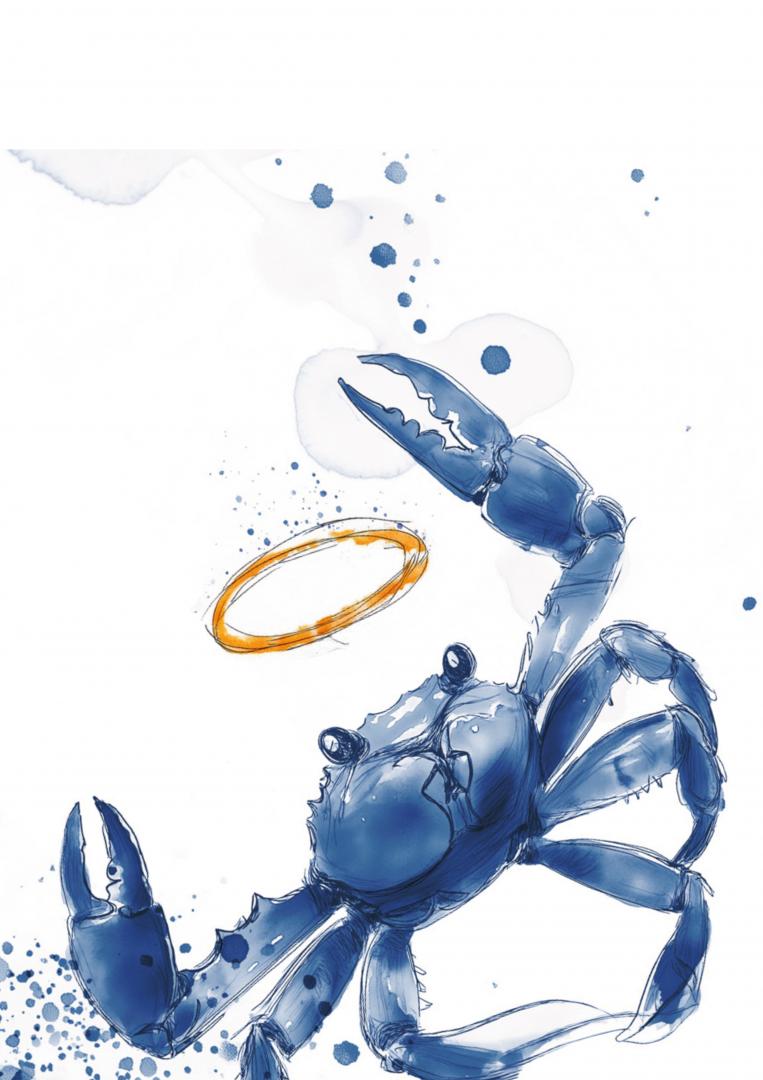 Großansicht 2024er Holy Crab 