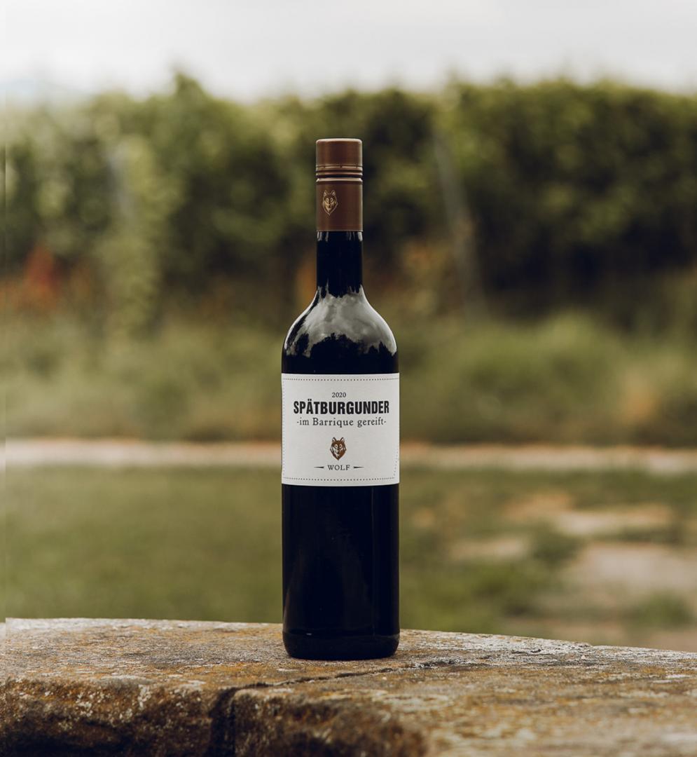 Großansicht 2020 SPÄTBURGUNDER, QbA, trocken, 0.75l, im Barrique gereift, Roschbacher Rosenkränzel 