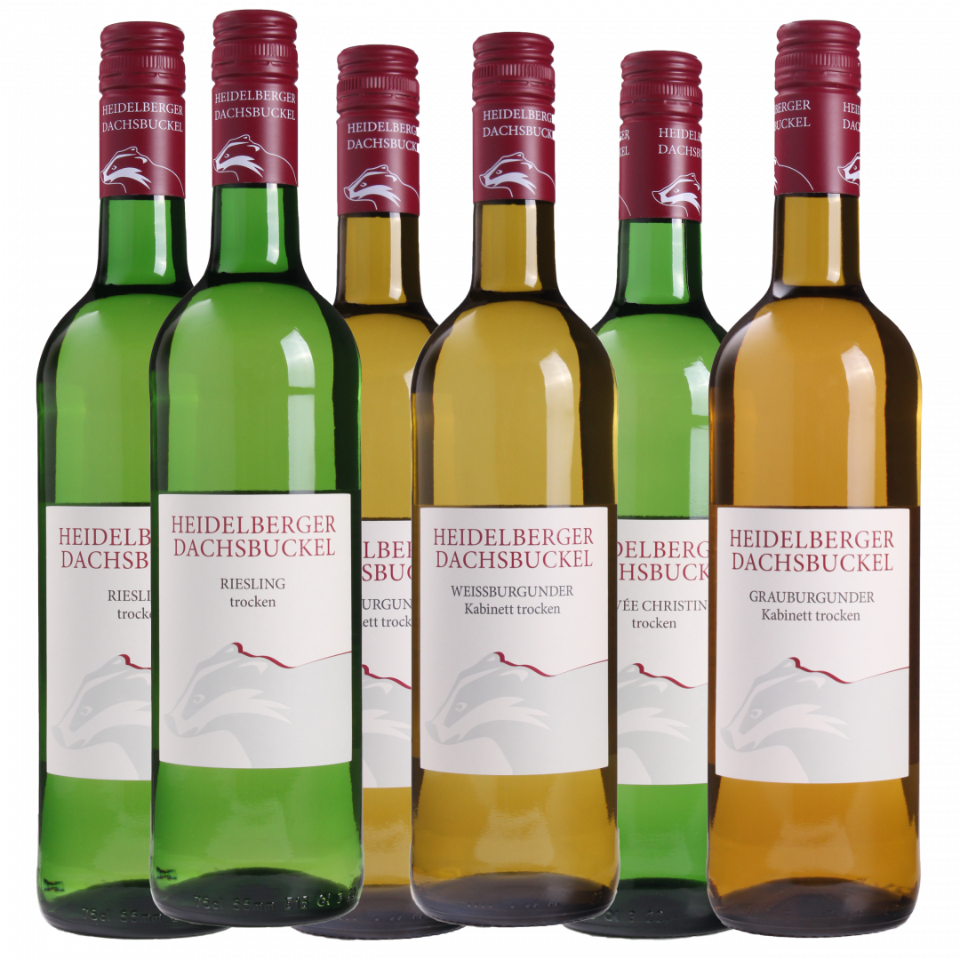 Bild von Sommerpaket 2025