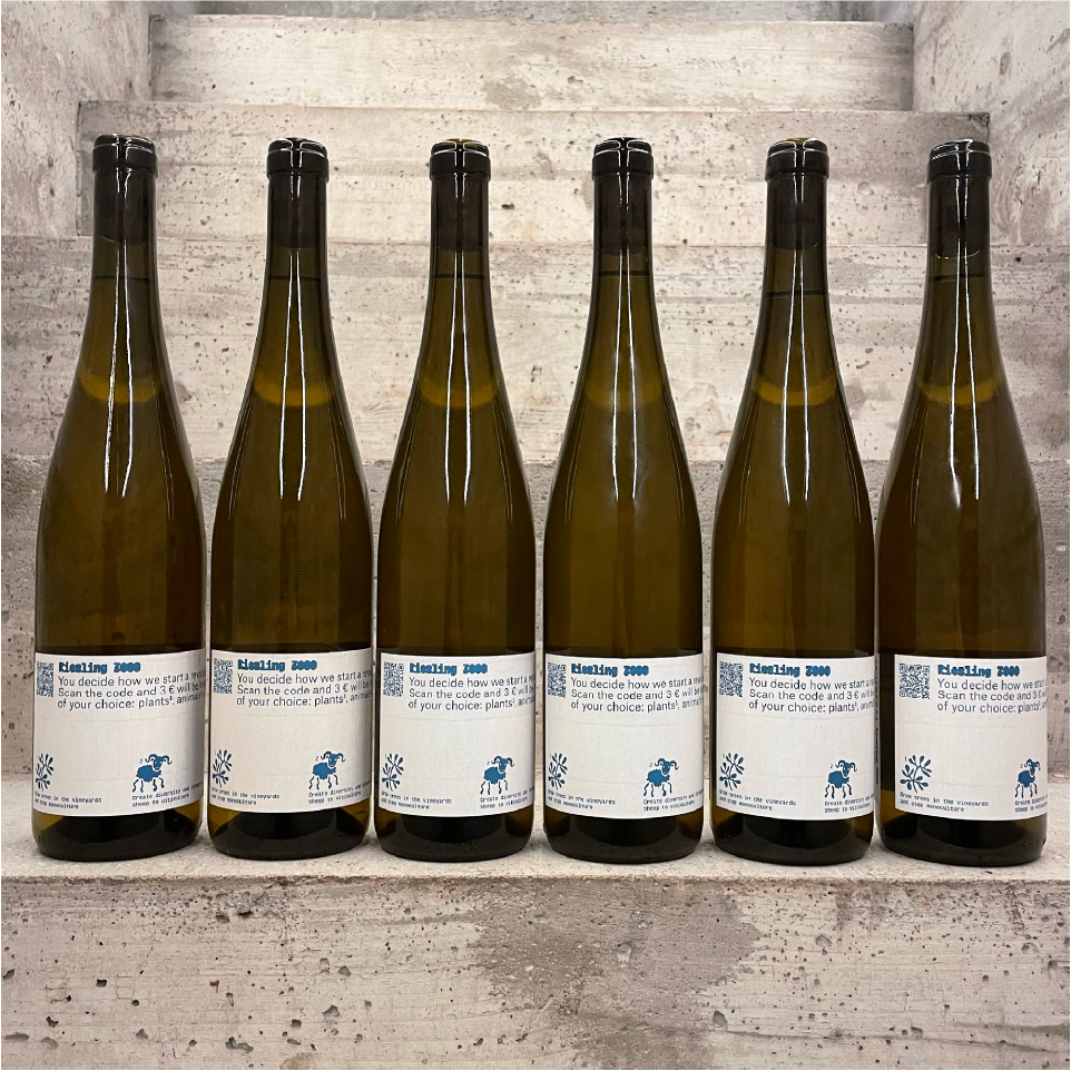 Bild von 6er Box: Riesling3000