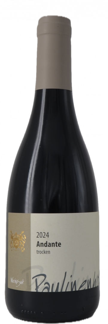Bild von 2024 Dornfelder Andante