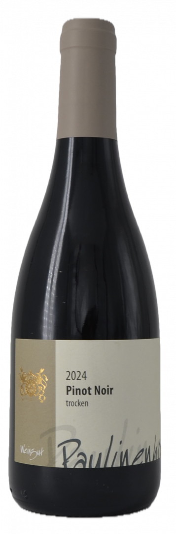 Bild von 2024 Pinot noir trocken
