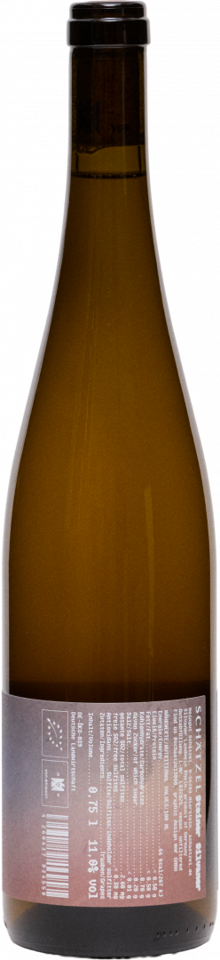 Bild von 20-24 Steiner Silvaner