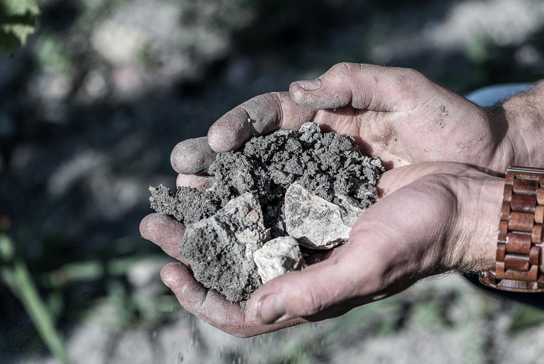 Bild von Ortswein-Paket