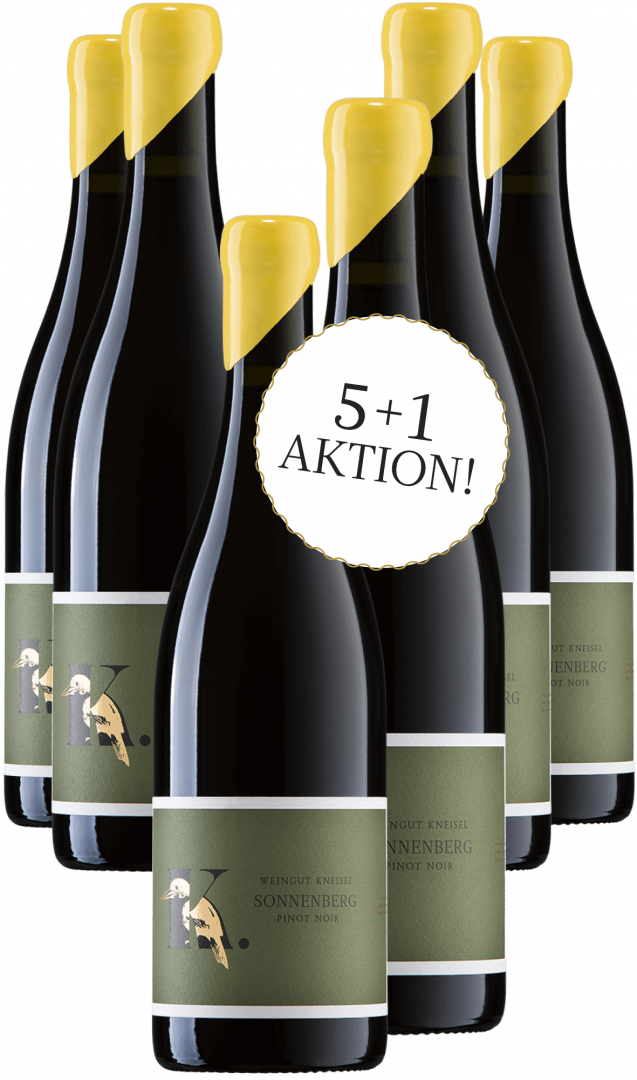 Großansicht Wein des Monats Dezember 5+1 Aktion - 2019er SONNENBERG Pinot Noir trocken