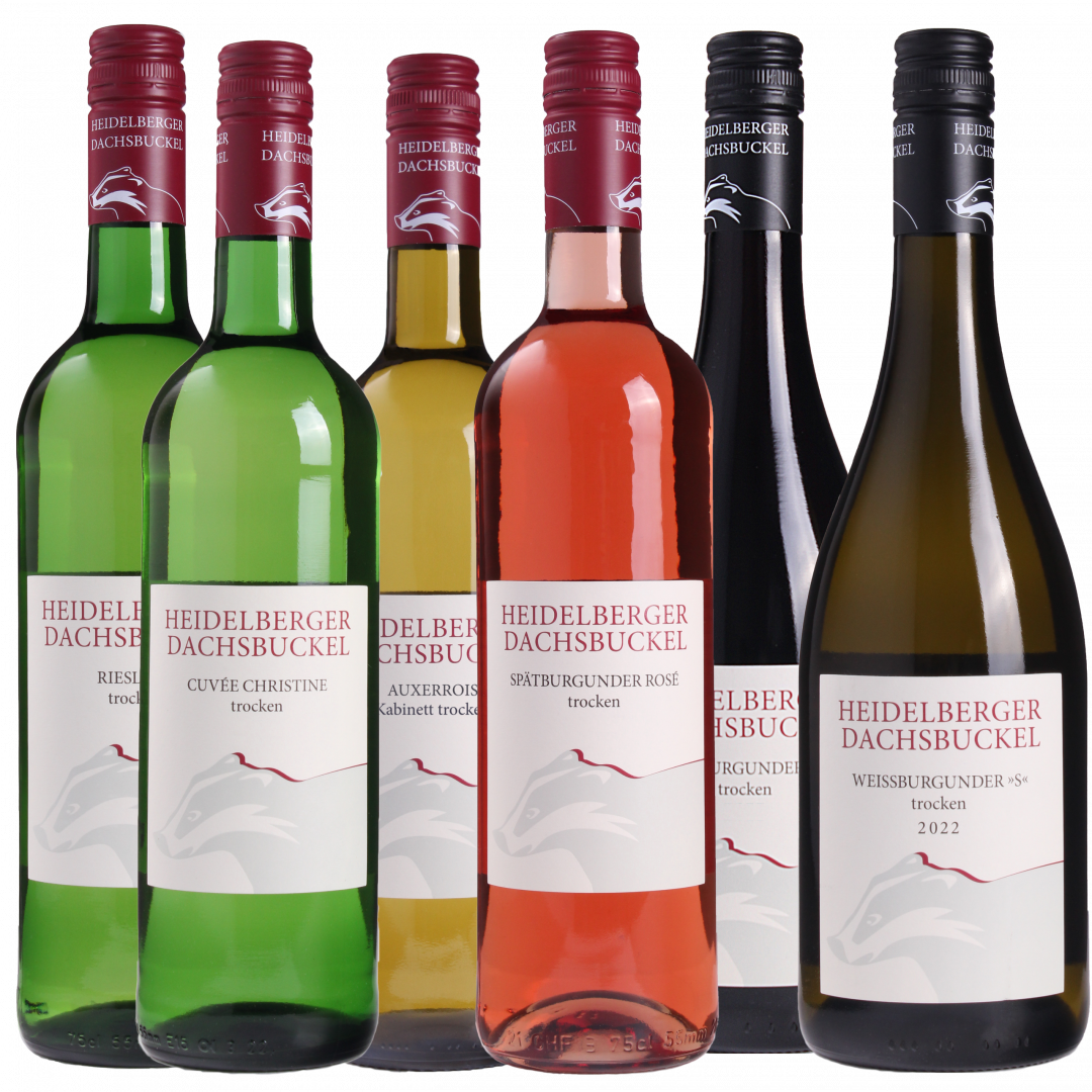 Bild von Frühlingspaket 2026