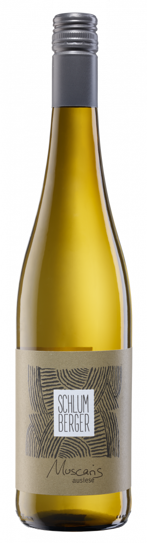 Bild von Muscaris Auslese 2025