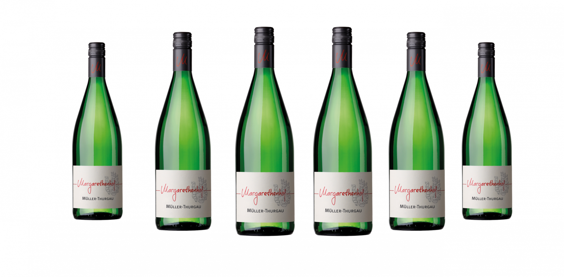 Großansicht 11+1 Paket 2025 BIO-Müller-Thurgau trocken