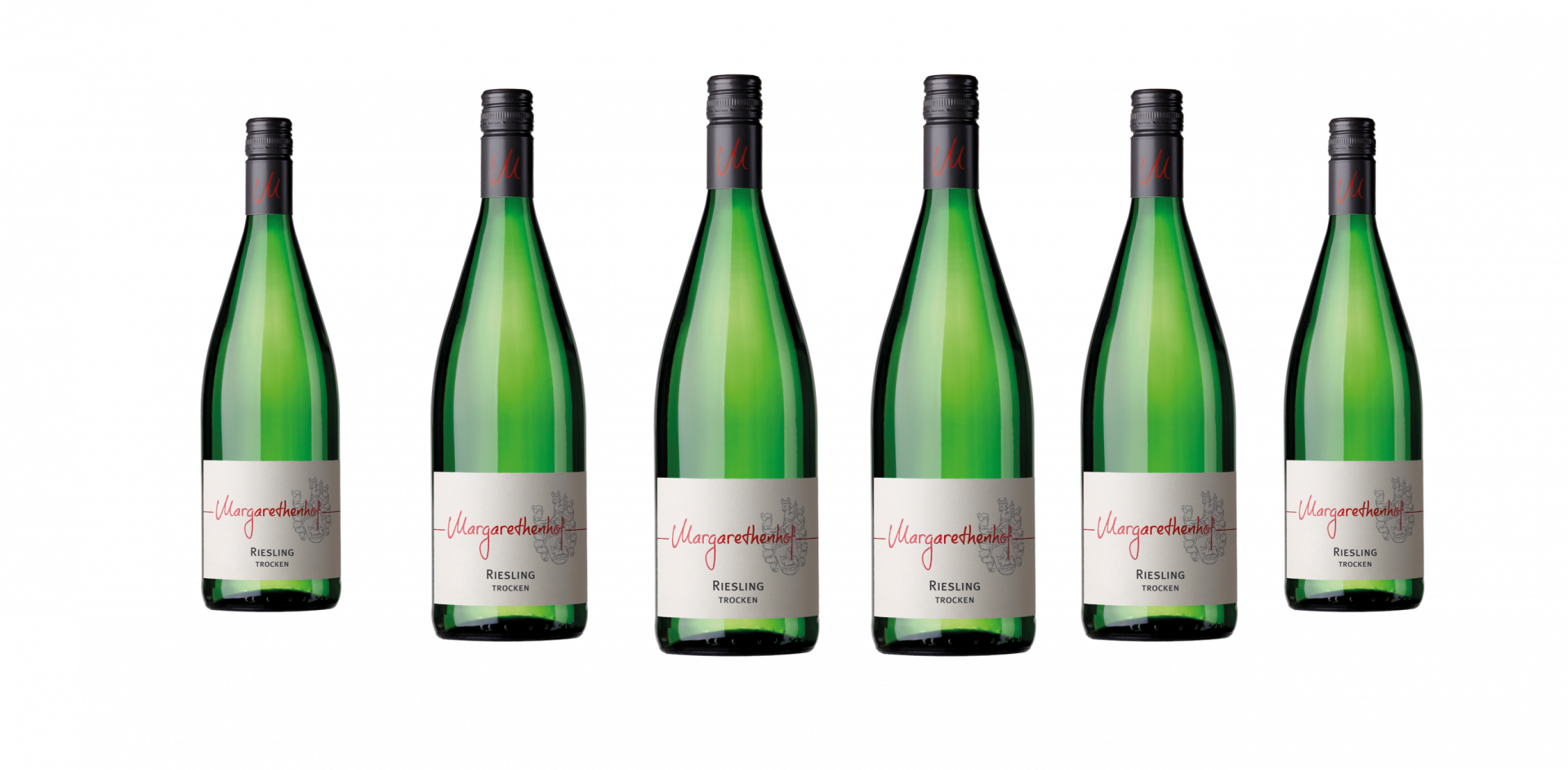 Großansicht 11+1 Paket 2025 Bio-Riesling BASIS trocken