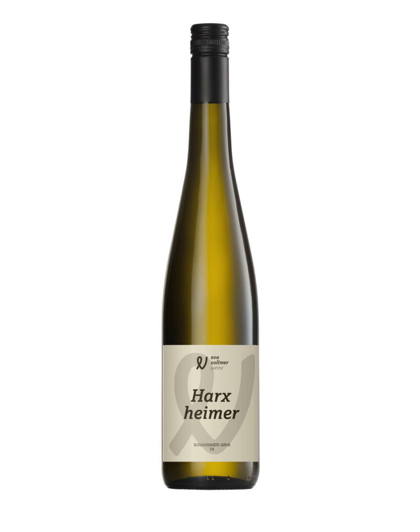 Bild von 2024 Souvignier Gris "TX" trocken