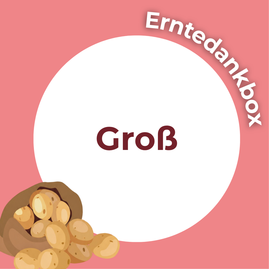 Bild von Große Erntedankbox