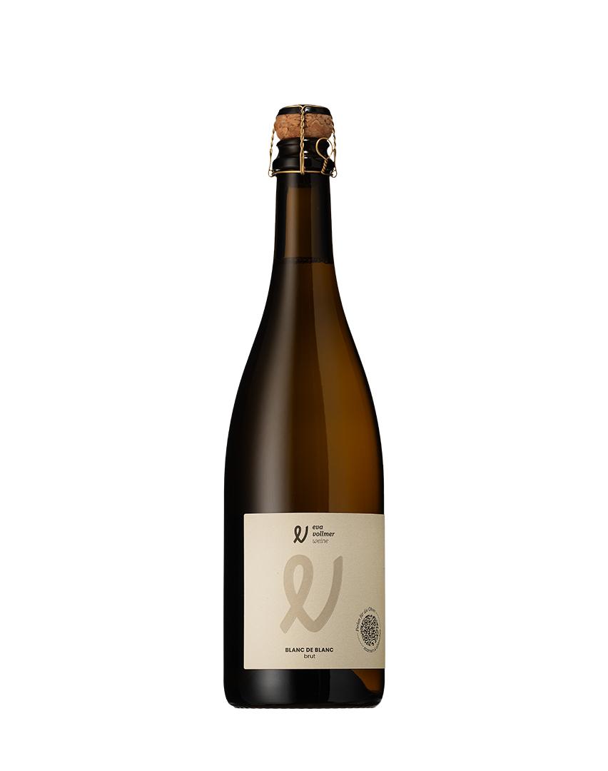Bild von 2024er Blanc de Blanc Sekt brut 