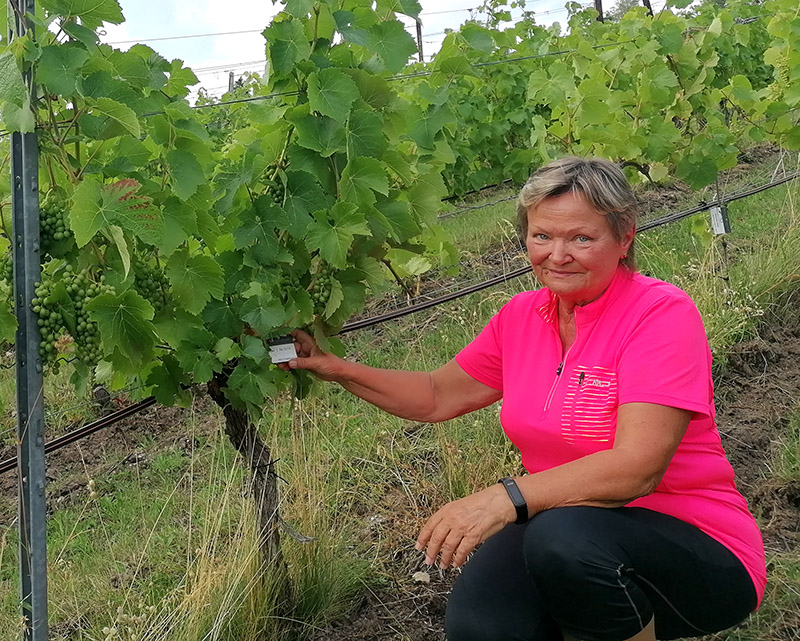 Hier klicken um Bilder anzuzeigen