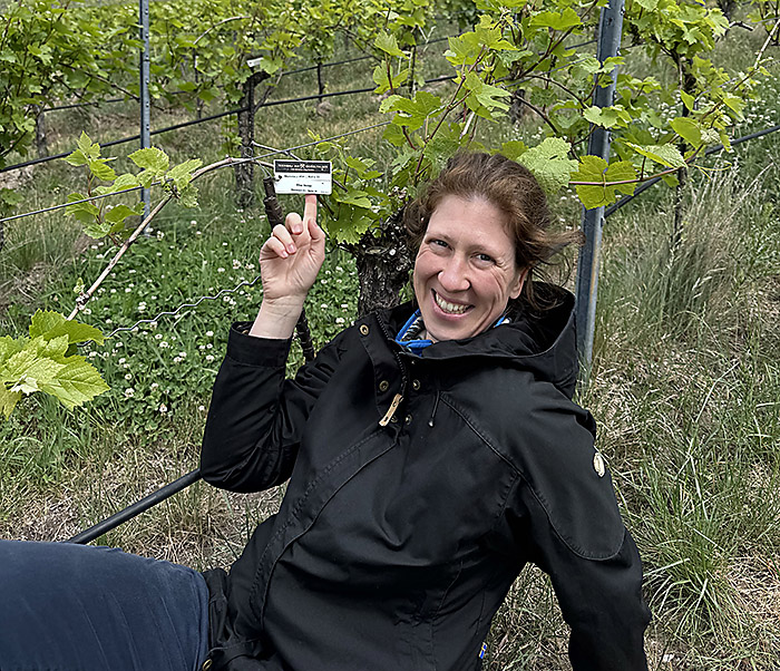 Hier klicken um Bilder anzuzeigen