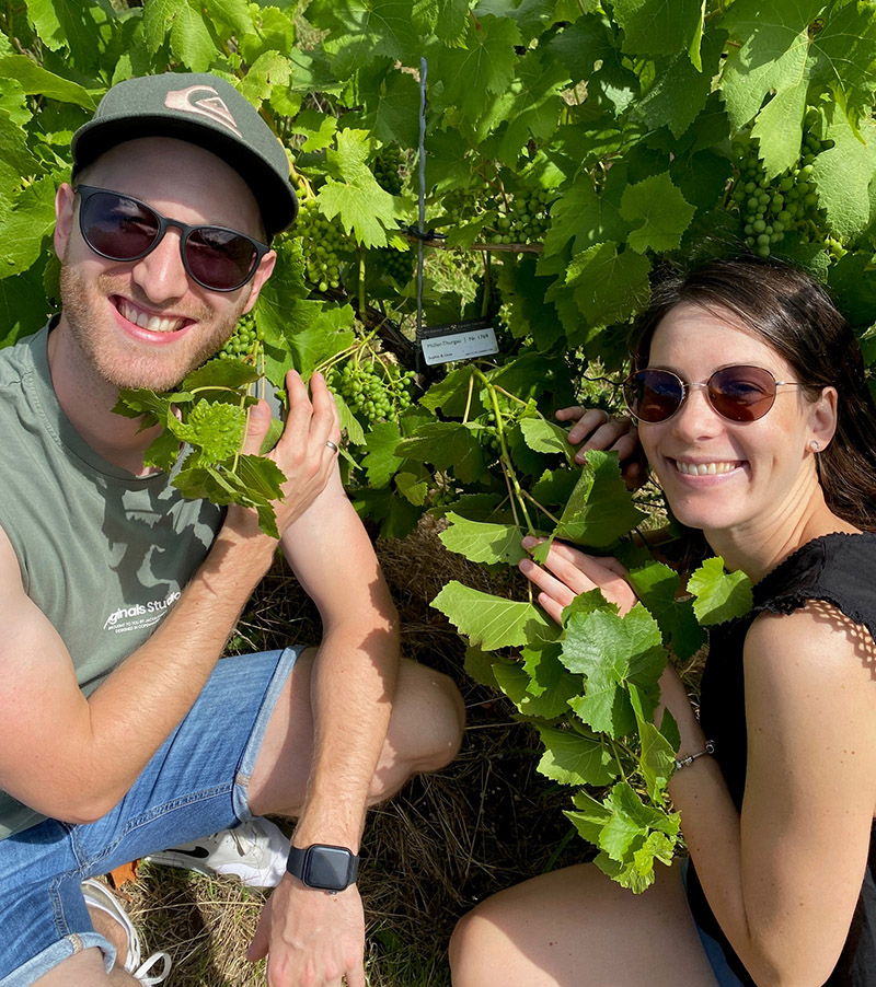 Hier klicken um Bilder anzuzeigen