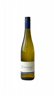 Bild von 2025 Bacchus Kabinett