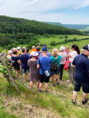 Bild von Ticket für Weinwanderung "Natur Pur" 14.09.2024