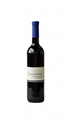 Bild von 2023er Cabernet Sauvignon trocken