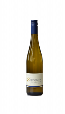 Großansicht 2024 Grüner Silvaner trocken