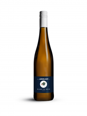 Bild von 2023 Pfalz Blanc de Noir Qualitätswein trocken 0,75l