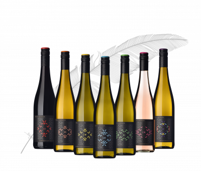 Großansicht Bachelor Paket 