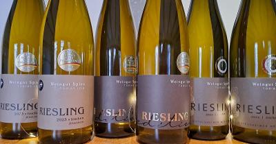 Bild von 6er Probierpaket Riesling