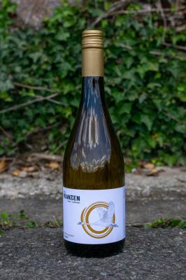 Bild von Weißburgunder