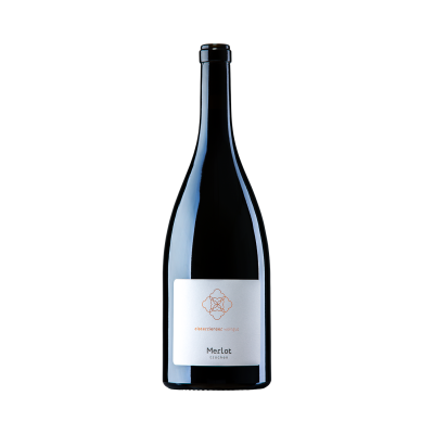 Bild von 2020er Merlot trocken -MAGNUM-