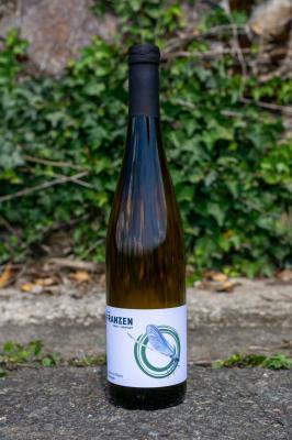 Bild von Cabernet Blanc 