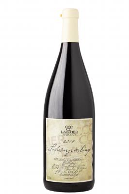 Bild von Schwarzriesling QbA