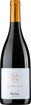 Bild von 2021er Merlot trocken 