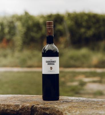 Bild von 2020 Cabernet Dorsa, QbA, trocken, im Eichenholzfass gereift, Essingen Sonnenberg 