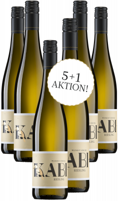 Bild von Wein des Monats Mai 5+1 Aktion - 2023er Riesling KABI feinherb