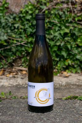 Bild von Franzisco Lebuin, Grauburgunder