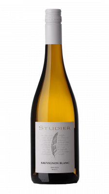 Großansicht 2024 Sauvignon Blanc trocken 0,75l BIO