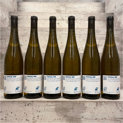 Großansicht 6er Box: Riesling3000