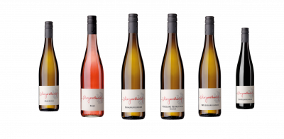 Bild von Pfälzer Rebsorten - Die Bunte Vielfalt