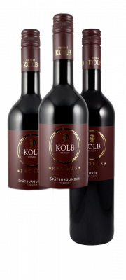 Bild von 6er Probierpaket kräftige Rotweine