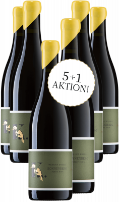 Bild von Wein des Monats Dezember 5+1 Aktion - 2019er SONNENBERG Pinot Noir trocken
