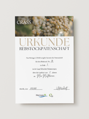 Bild von Rebstockpatenschaft 