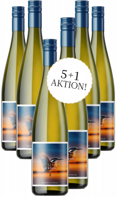 Bild von Wein des Monats Januar 5+1 Aktion - FEDERSPIEL weiß