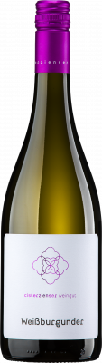 Bild von 2025er Weißburgunder 