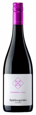 Bild von 2022er Spätburgunder trocken 