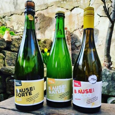 Bild von Probierpaket Brausewein