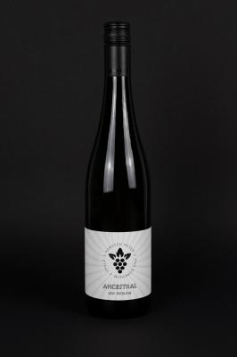 Großansicht 2025er Ancestral Riesling trocken 