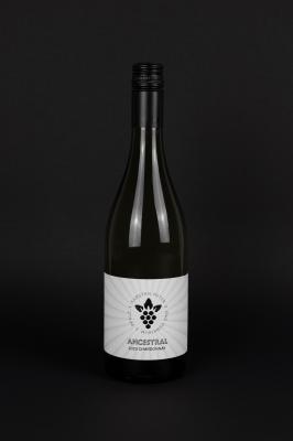Großansicht 2025er Ancestral Chardonnay trocken 