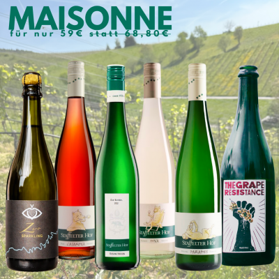 Bild von Sortiment bestehend aus folgenden Weinen: 1 Fl. 2023 Diva Rivaner - BIO trocken 1 Fl. 2022 Old School Riesling- BIO trocken 1 Fl. 2025 Vision Zero sparkling (K) - alkoholfrei, 1 Fl. 2025 The Grape Resistance Muscaris BIO PetNat, 1 Fl. 2024 Casanova Rosé BIO trocken, 1 Fl. 2024 Paradies Riesling feinherb