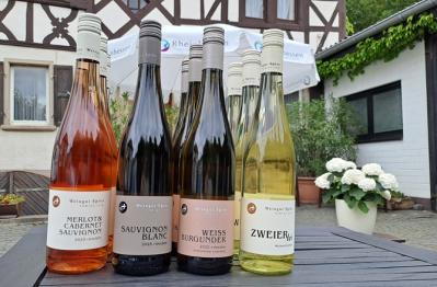 Bild von TOP 4 Weine für Frühjahr & Sommer