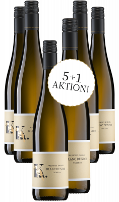 Bild von Wein des Monats Juni 5+1 Aktion - 2025er Blanc de Noir trocken